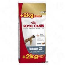 Royal Canin Boxer Adulto