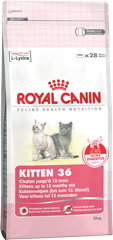 Royal Canin Kitten