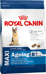 Royal Canin Maxi Ageing 8+