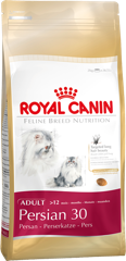 Royal Canin Persian Adulto