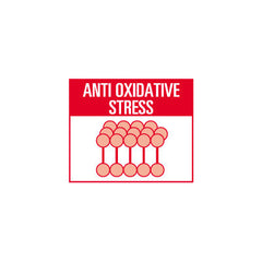 Royal Canin Convalescence Support Instant Polvo