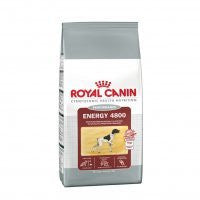 Royal Canin Energy 4800